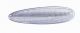 Freccia Gruppo Ottico Laterale Fiat Bravo 1995-2001