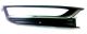 Fog Light Grid Cover Volkswagen Passat 2010 Right Side